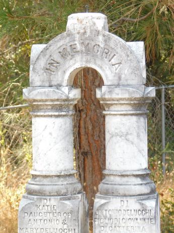 [Picture of Katie and Antonio Delucchi grave]